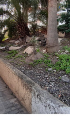Acondicionamiento parterres c/ Manuel de Falla 26