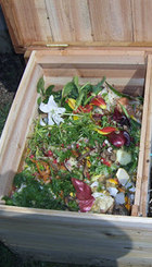 compostera-casera-cuarentena-infocampo.jpg