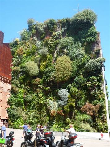 María_Odaris_Pérez_Espino_Jardín_Vertical_en_Las_Canteras.jpg