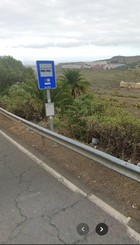 Parada de gaugua actual
