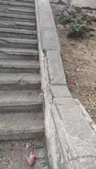 Escaleras.jpg