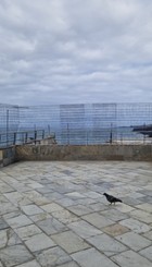 Mirador