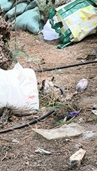 IMG_20250616_200231.jpg
