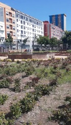 Parque de La Luz, La Isleta-Puerto