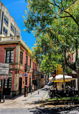 calleverde.png