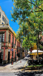 calleverde.png