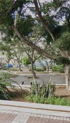 Captura_de_pantalla_2025-06-22_a_las_19.15.34.jpg